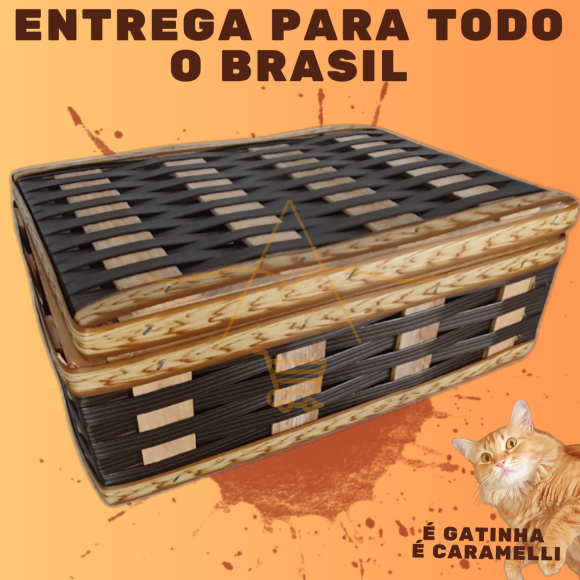 https://www.caramelli.com.br.fostersolucoesem.futurasistemas.com.br/image/cache/watermark/data/eftr/Img_ftr_rp_131002-580x580.PNG